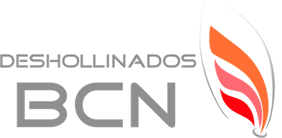 Deshollinados.com